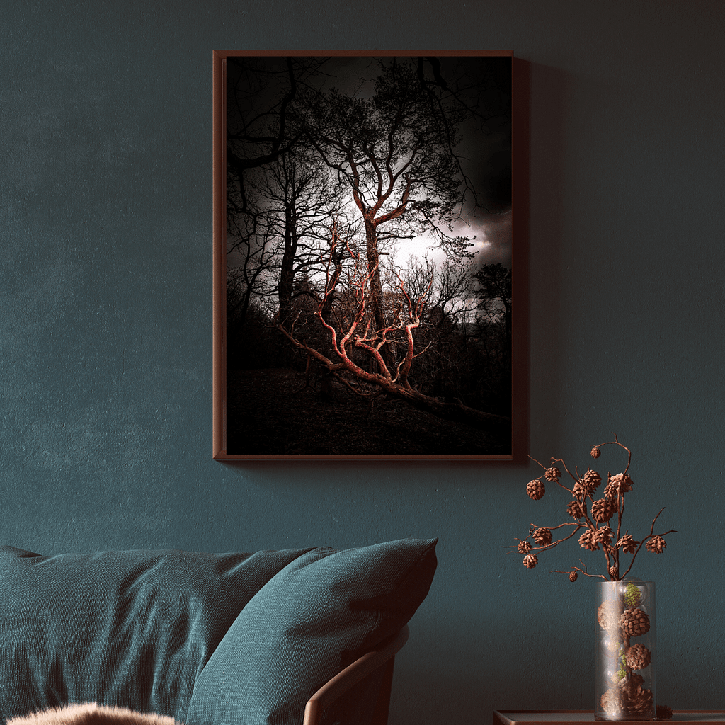 Wandbild Dark Woods #1